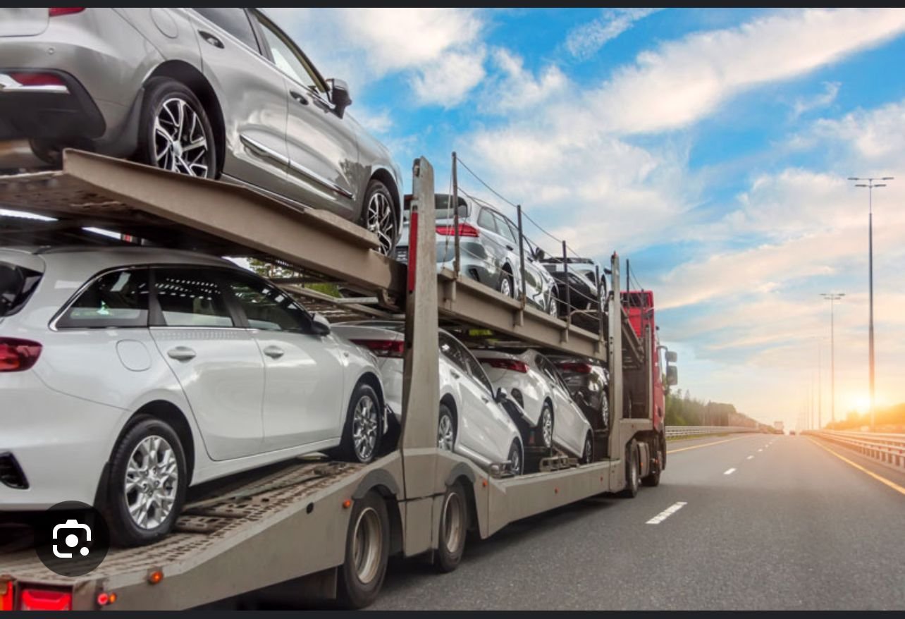 whatsapp image 2025 11 17 at 11.42.57 18954feb.jpg