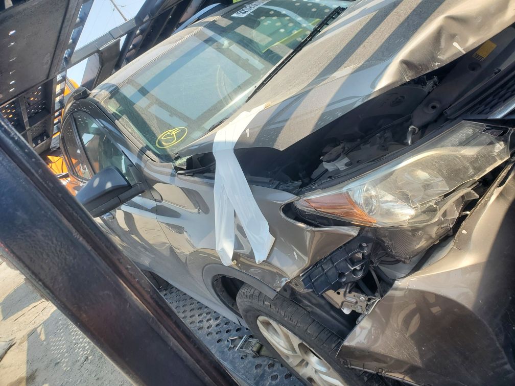 whatsapp image 2025 11 17 at 11.42.59 d1dc14a7