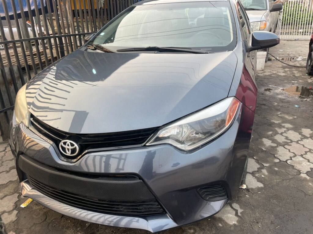 whatsapp image 2025 11 19 at 04.28.26 39c6a2ac