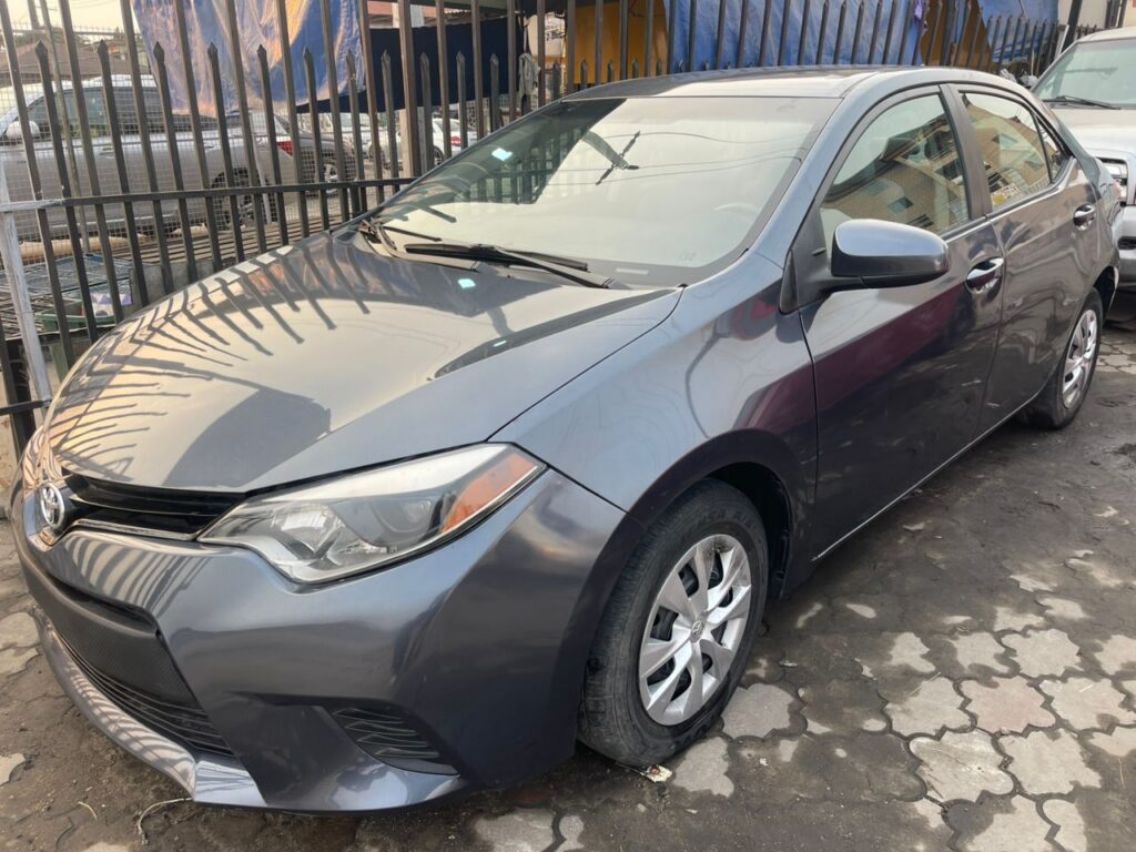 whatsapp image 2025 11 19 at 04.28.26 4edc5581