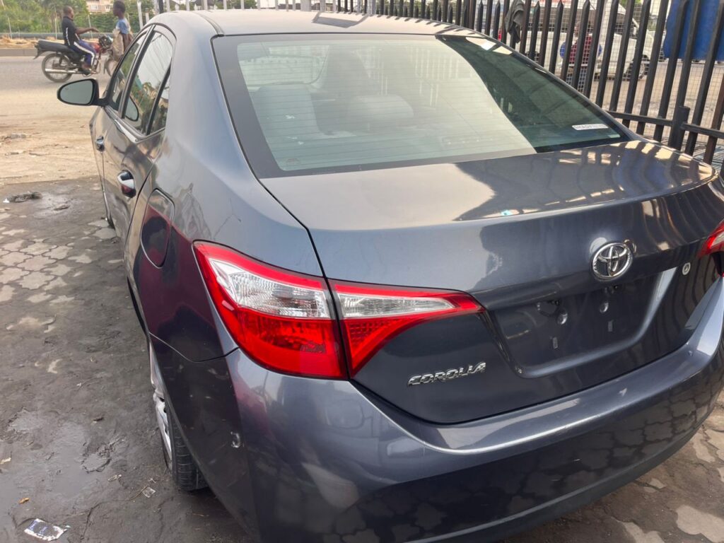 whatsapp image 2025 11 19 at 04.28.26 6ad4fe56