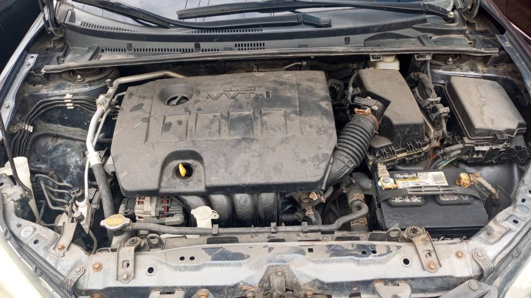 whatsapp image 2025 11 19 at 04.29.12 0155c3fa